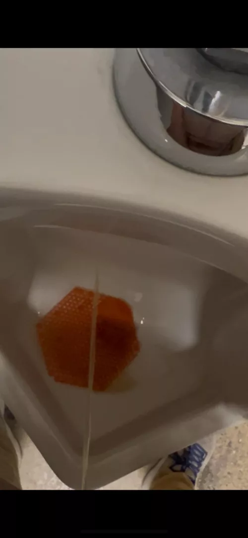 Who wants to trade places with the urinal!?