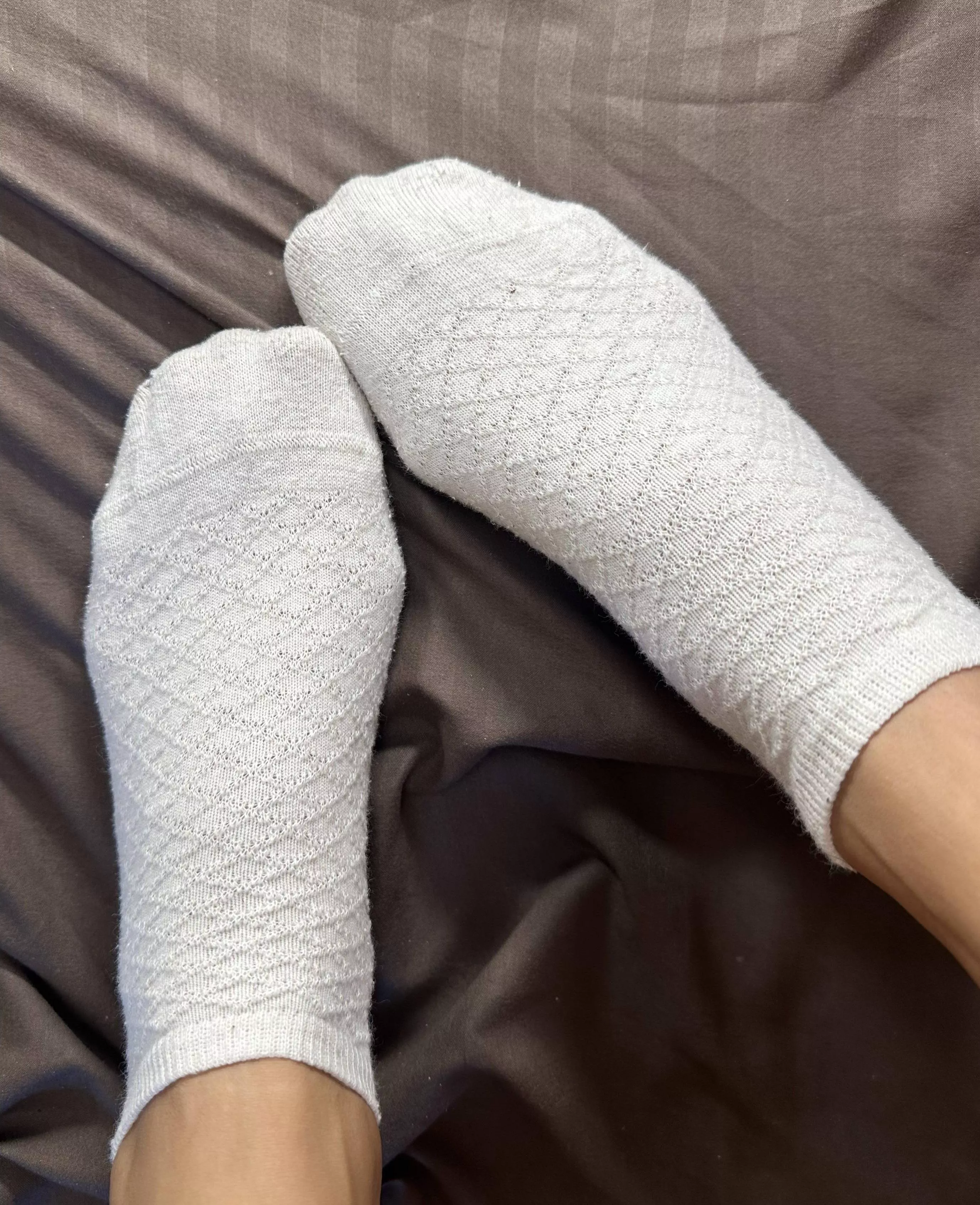 Would you enjoy my feet on your face