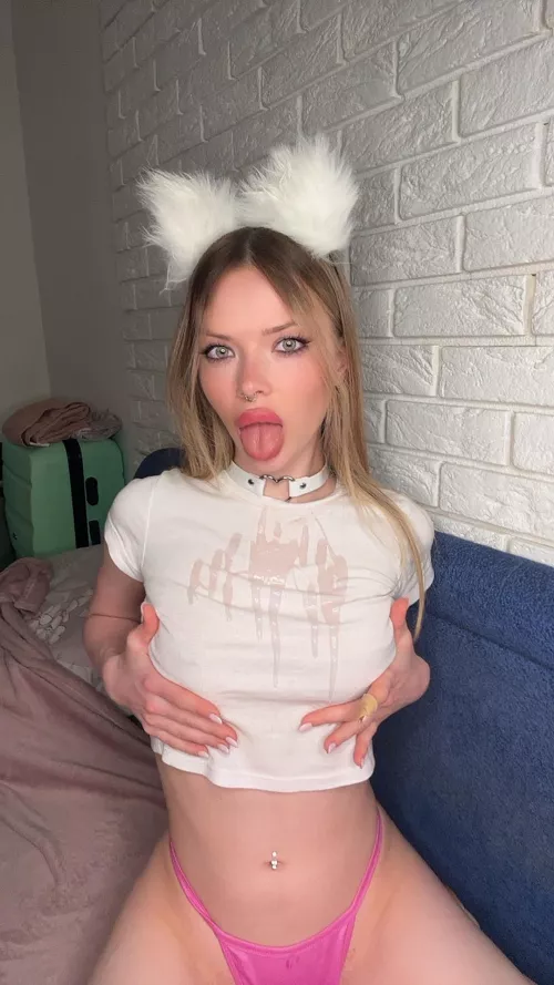 your little kitten is hungry