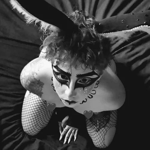 Your play bunny just arrived