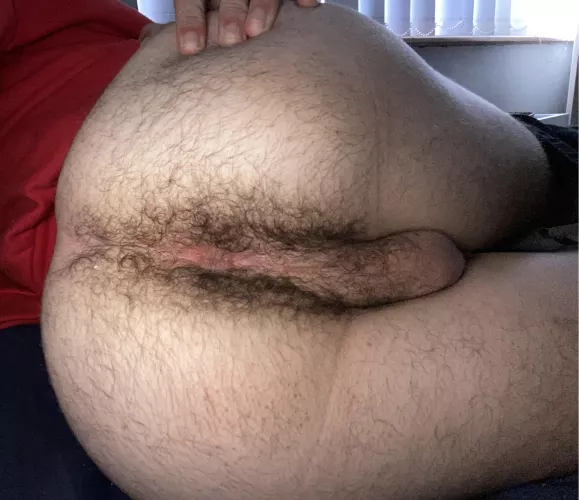 (18) You like hairy ass?😏
