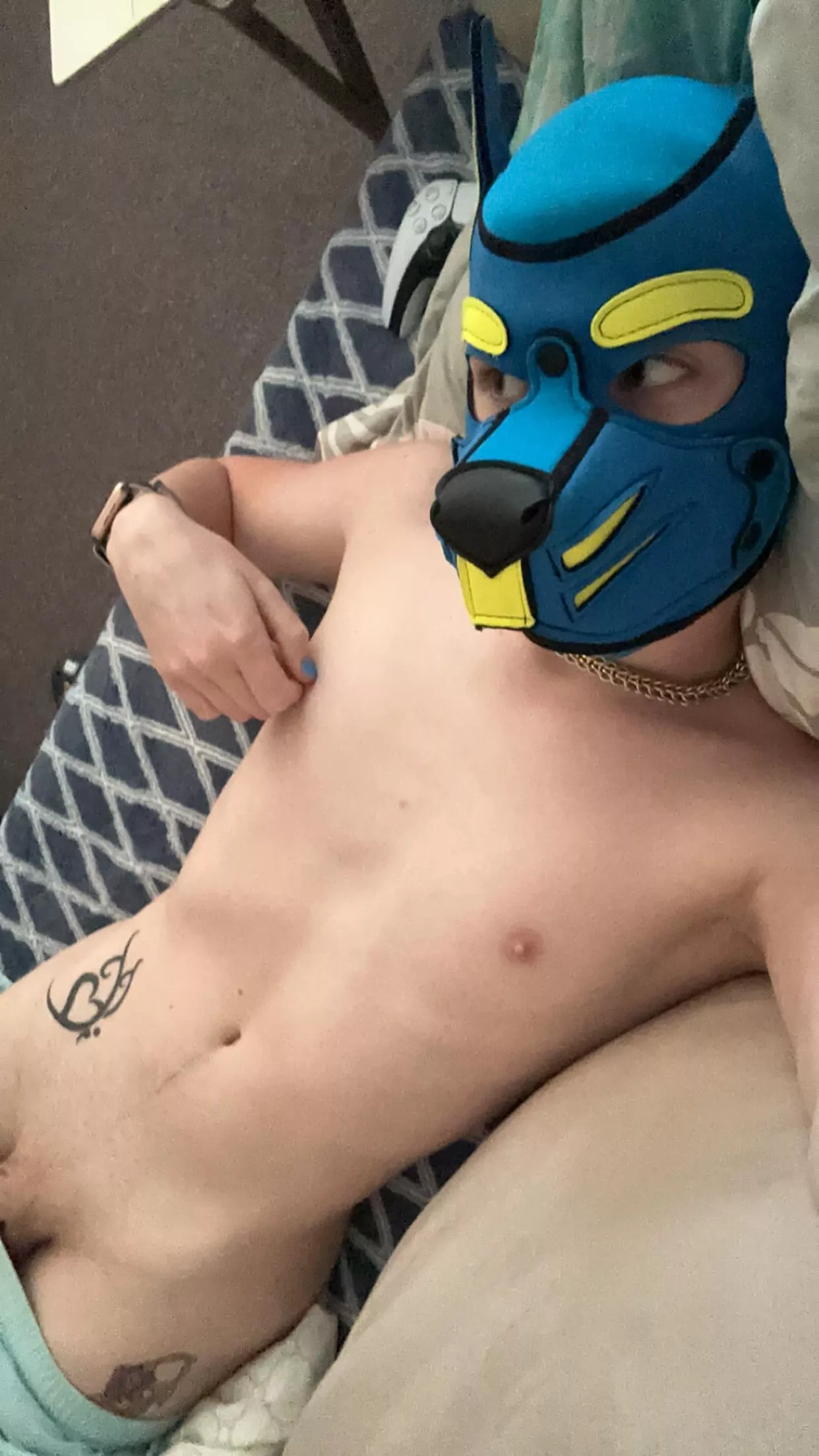 [21] Puppy is having a lazy video game Saturday! 