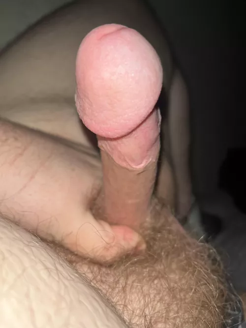 25 year old Irish cock