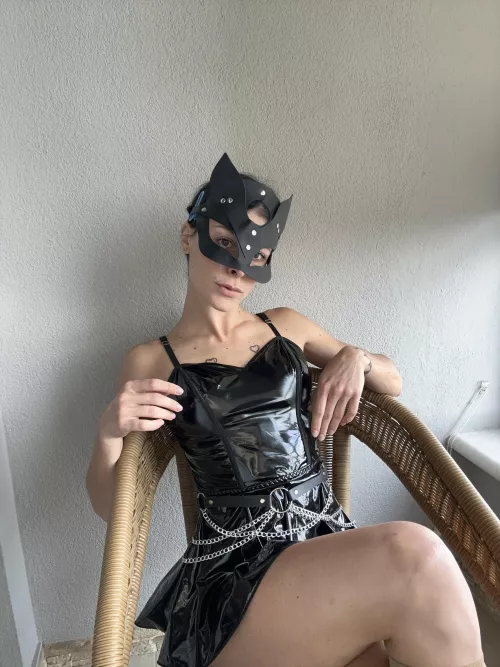 a kitty cat faithfully waiting for her owner