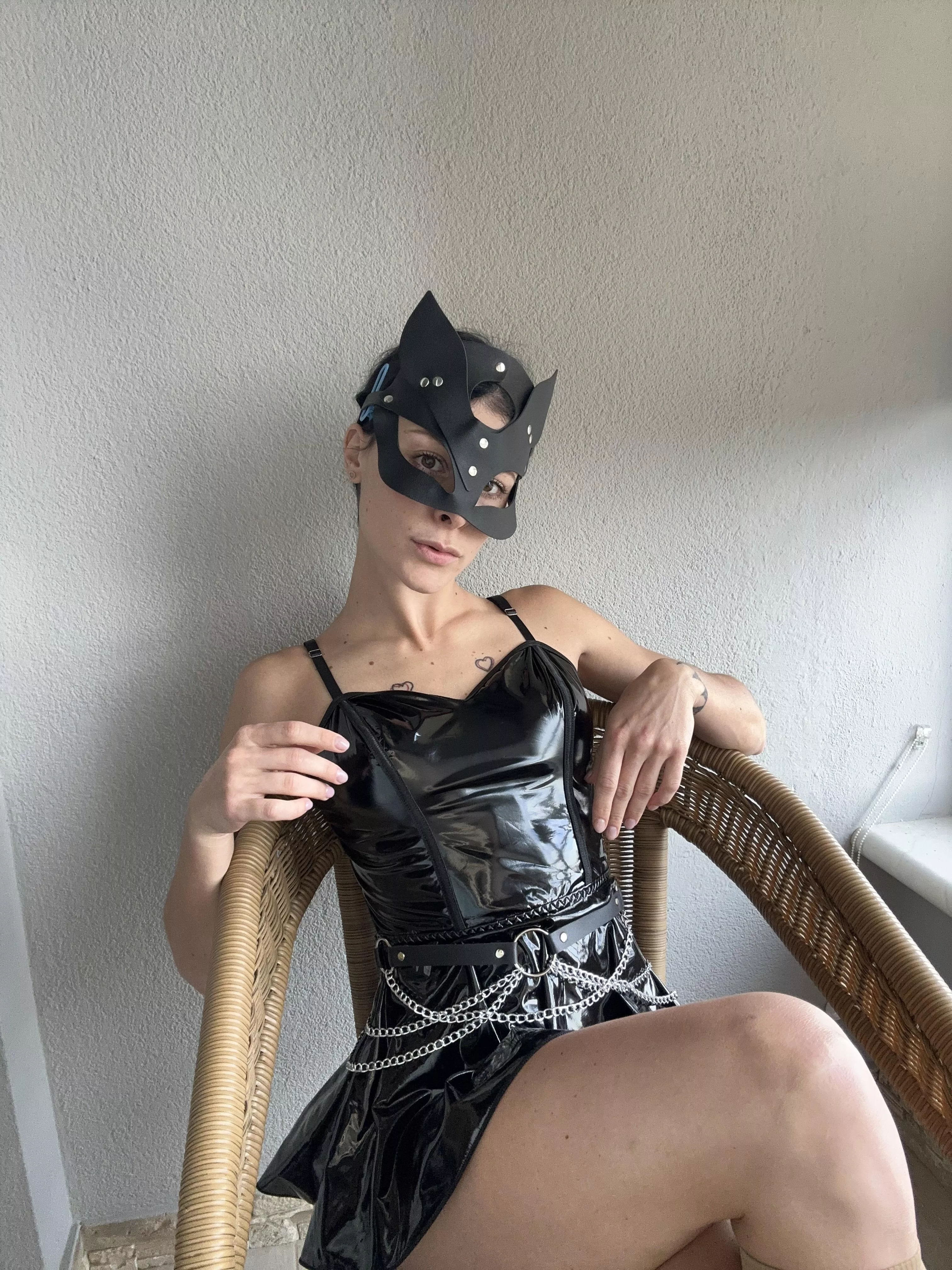 a kitty cat faithfully waiting for her owner