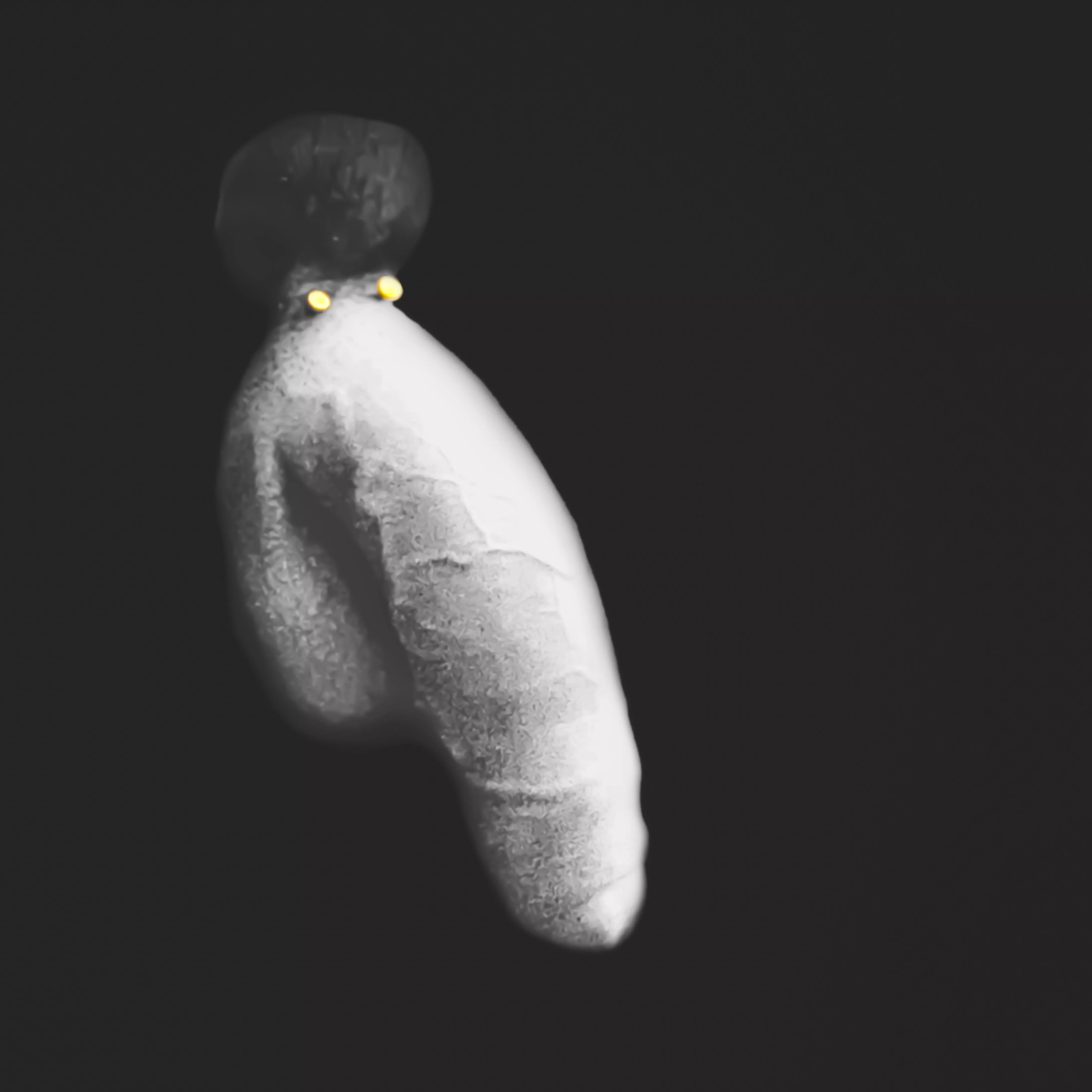 Afro Elephant - Nuthin' but Smiles