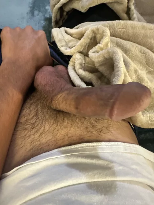 Any sissy in cape-ft myers?