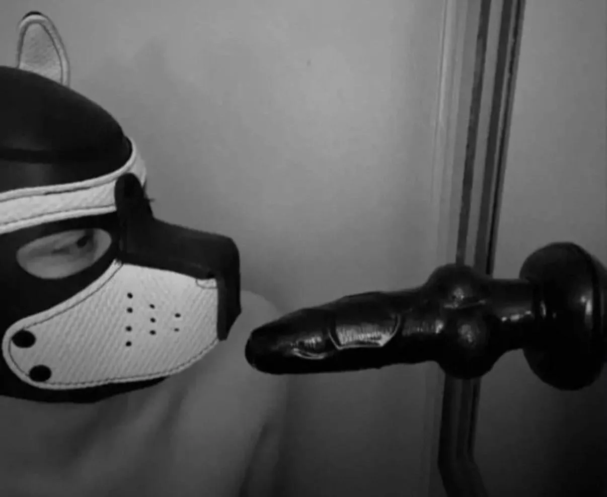 Anyone need a new bitch in Stillwater? My dms are open