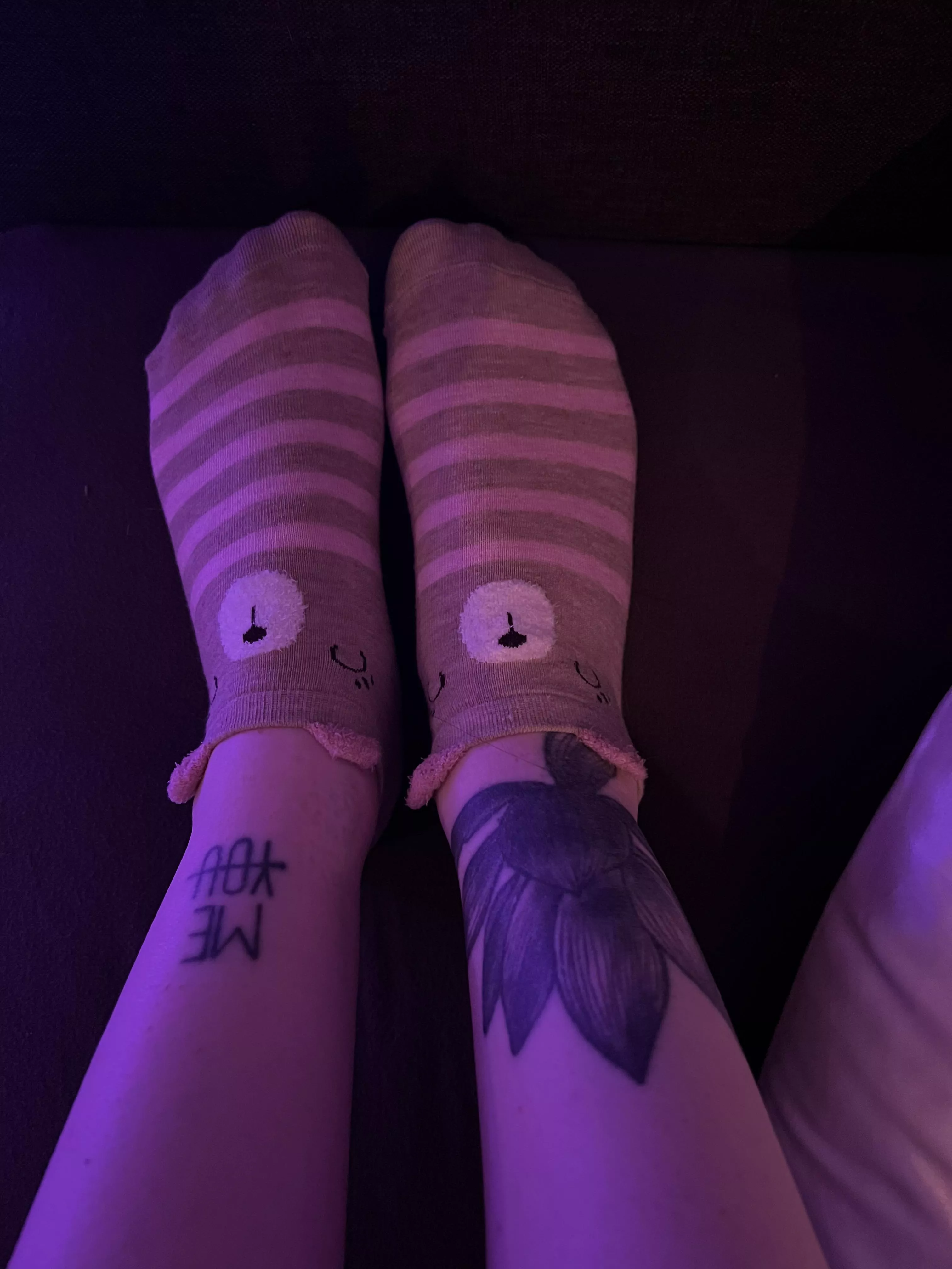 Aren't these socks so cute!?