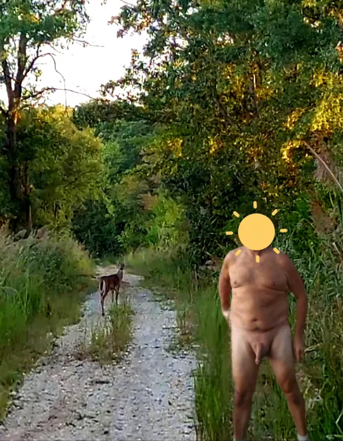 Deer popped out on me