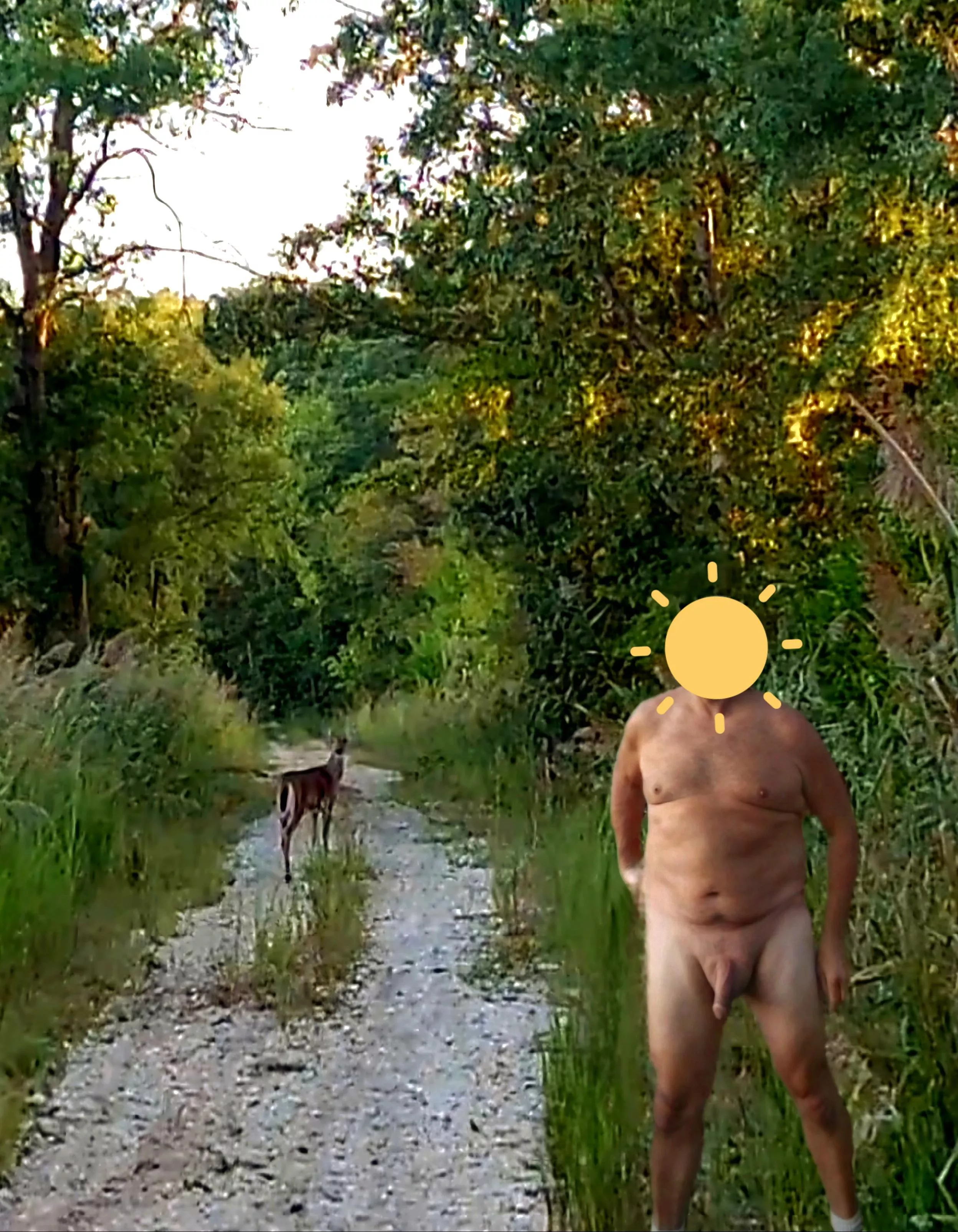 Deer popped out on me