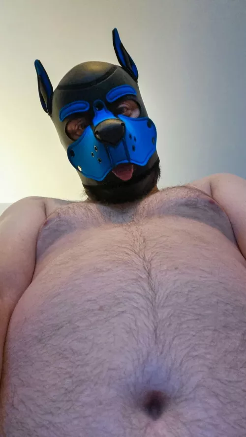 Do you like looking on a pup from this perspective? 