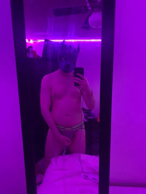 does anyone have a bone for this pup?