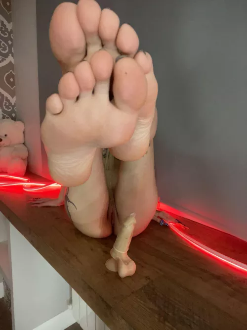 Elegant awaiting admiration