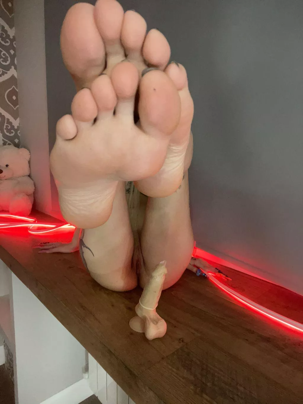 Elegant awaiting admiration