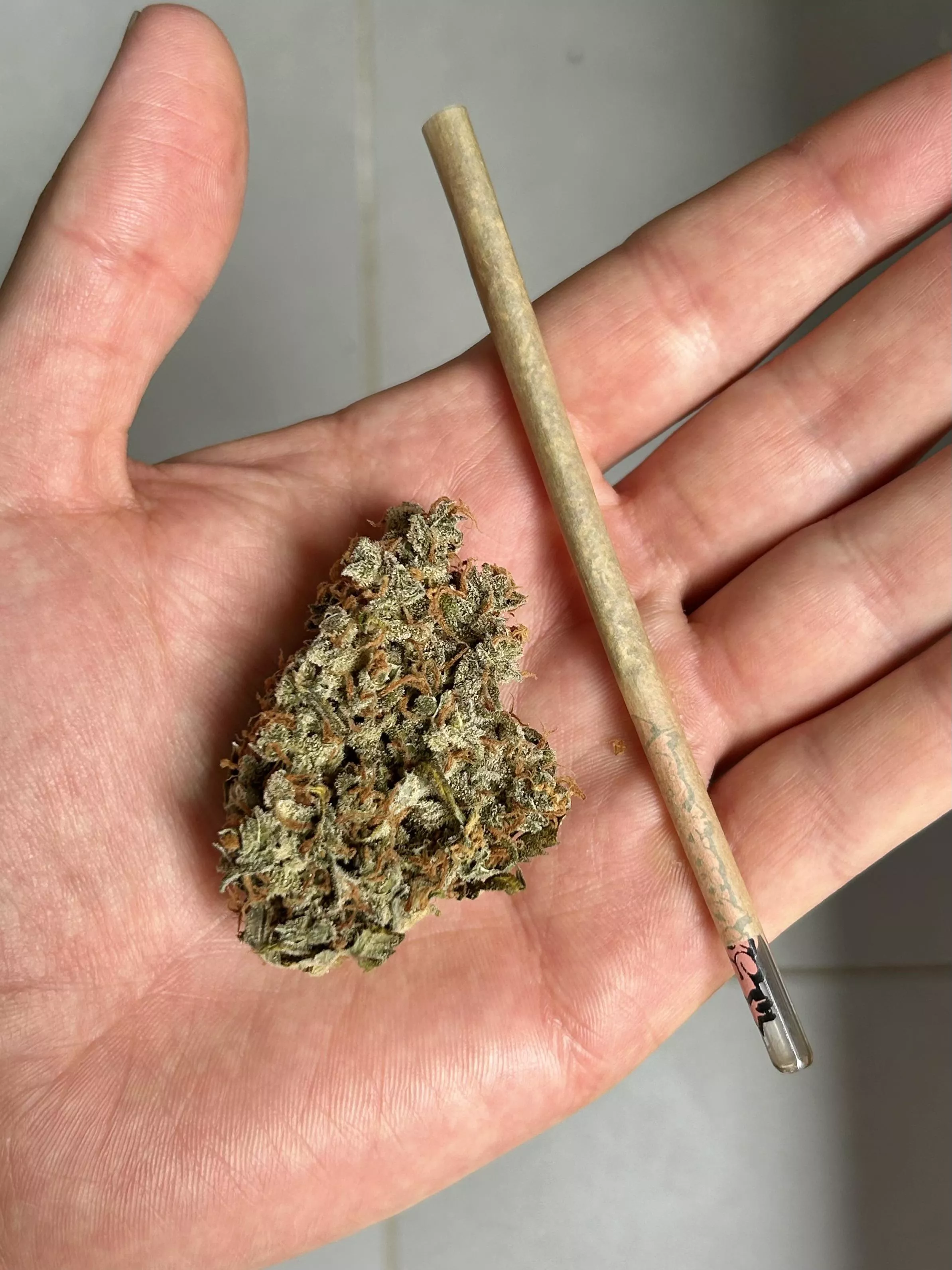 Fumava o fino ou bolava um vela? Kk Flor com quase 5 meses de cura