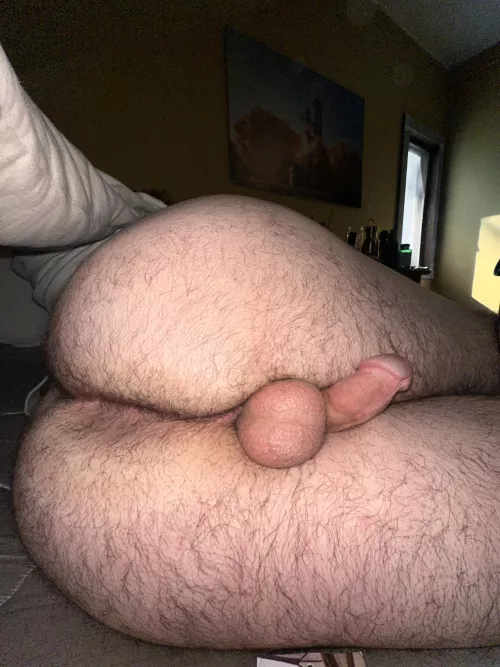 Good morning bros :3