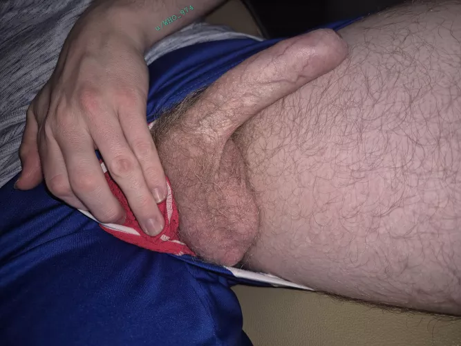 Hairy cock resting on hairy thighs