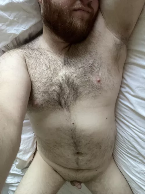 Horny Ginger Cub