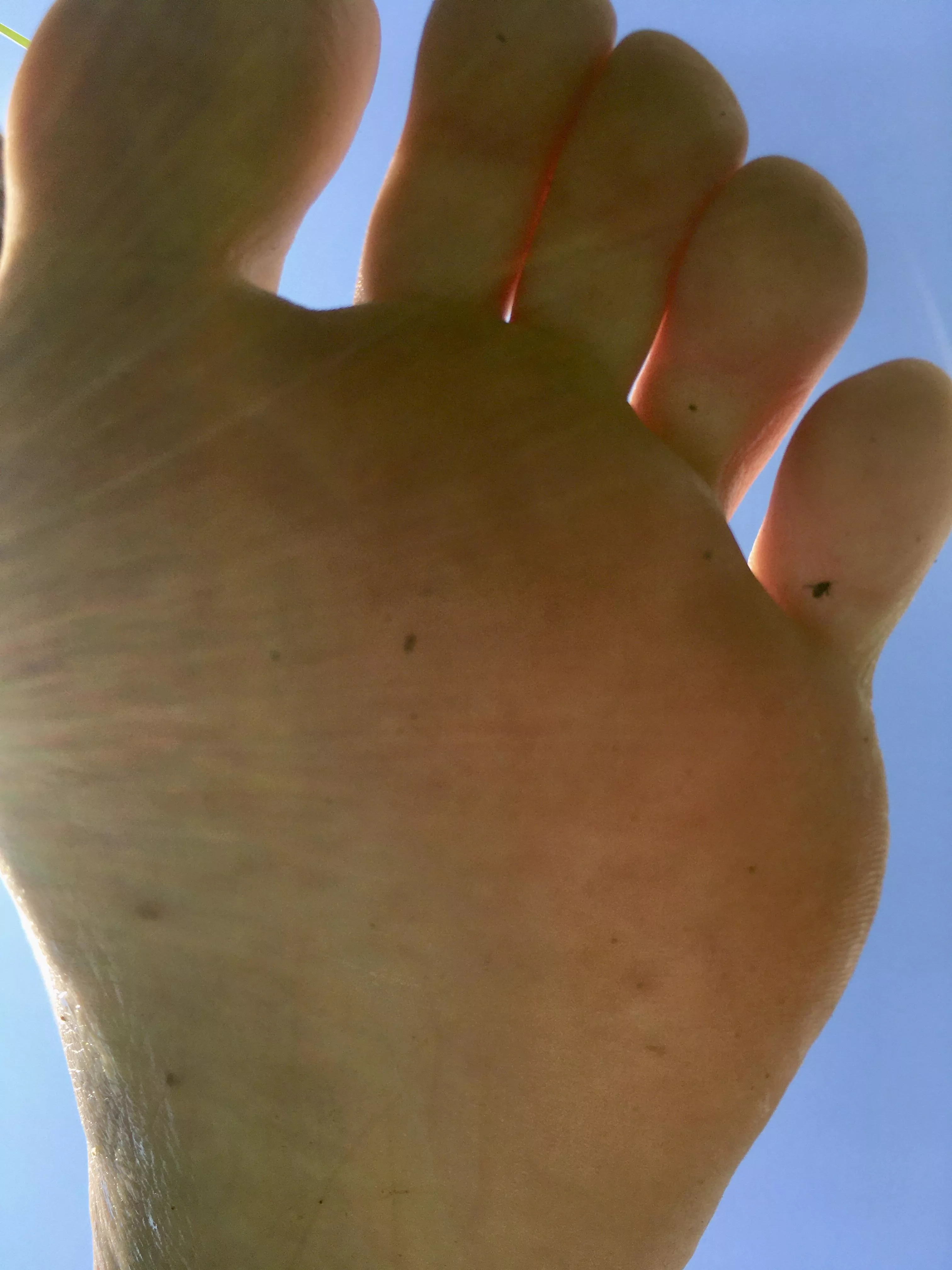 How small are you? 😈