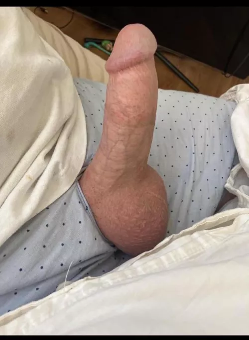 I love my clipped cock. Don’t you?