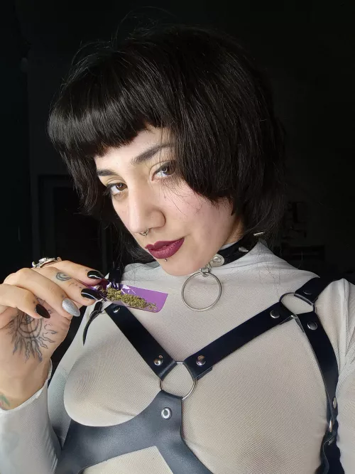 I love to fuck when i'm high. I wonder if there might be any submissive guy who would join me.