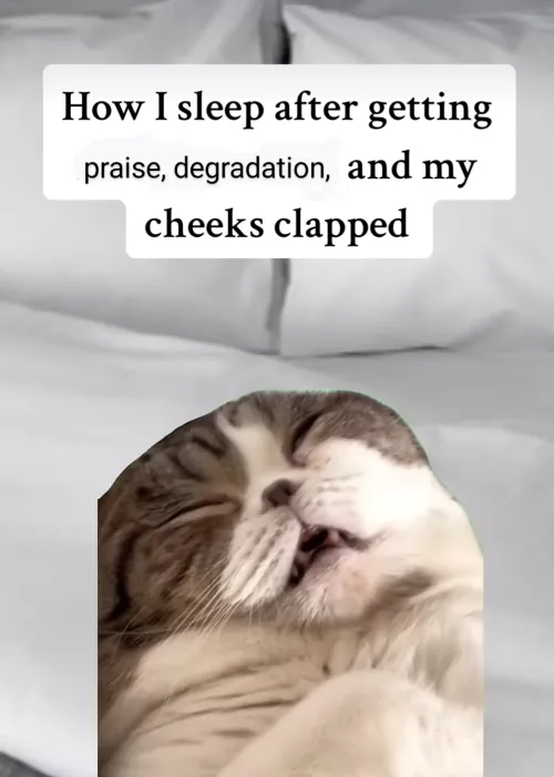 I need a good night's sleep 