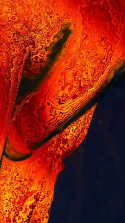 I'm just don't know where to go