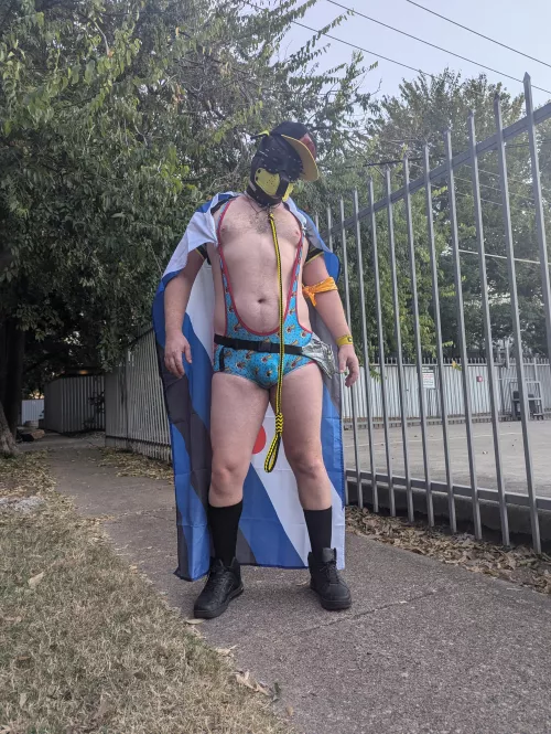 It's a bird, it's a plane, no...... IT'S SUPER PUP!!!! Making sure the Dallas Block Party is safe and awootastic! 