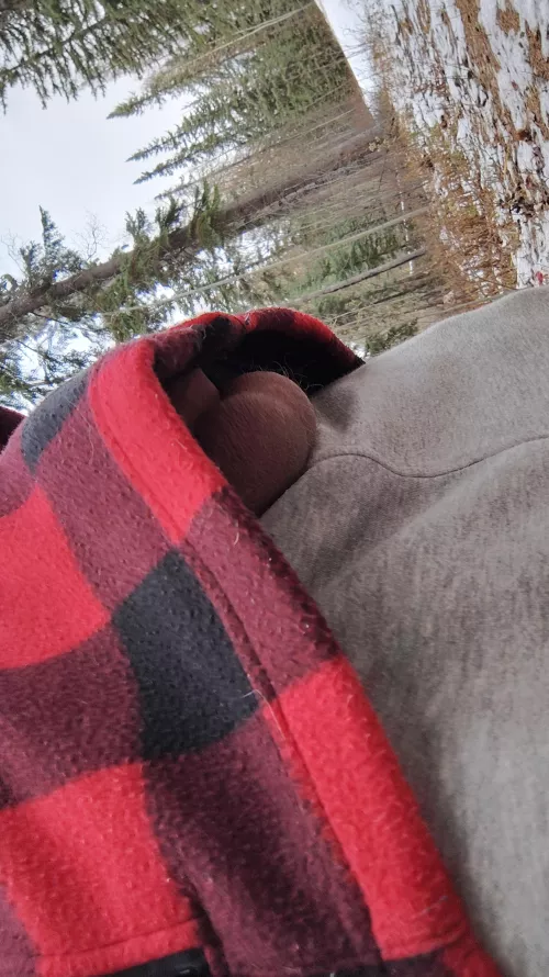 Just out for a stroll with the boys 