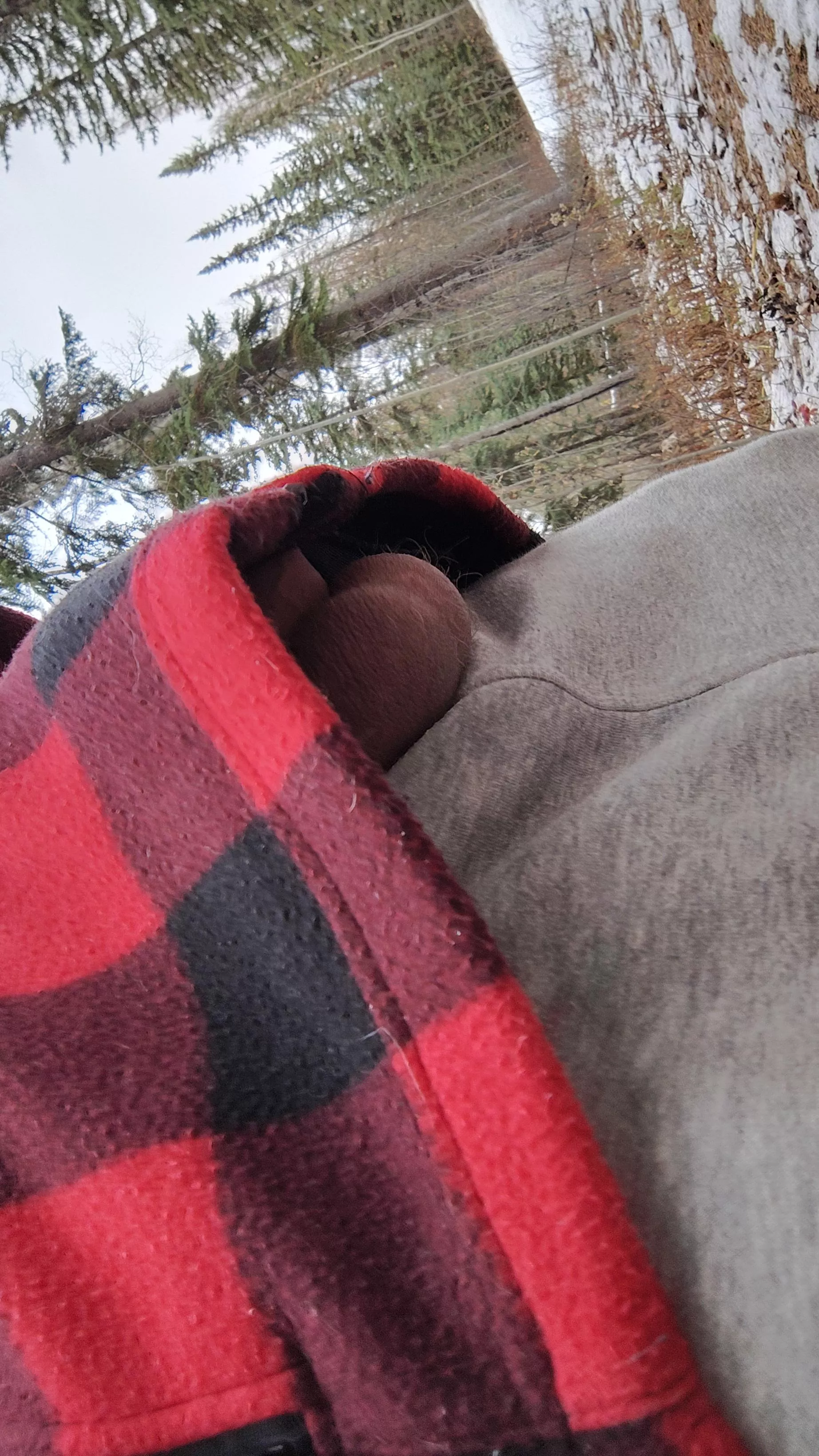 Just out for a stroll with the boys 