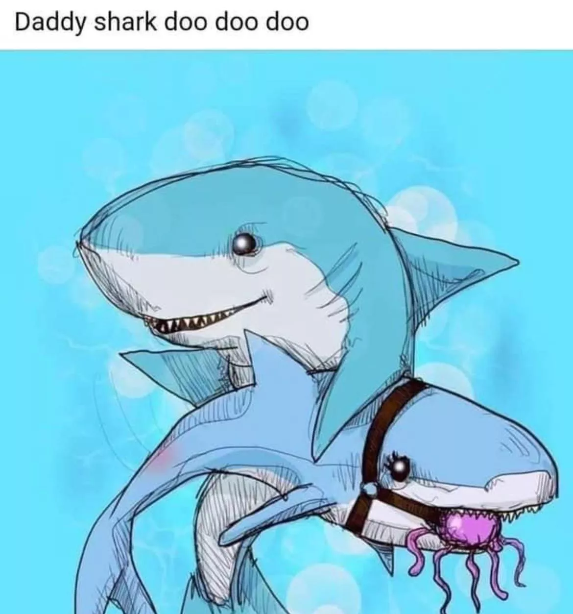 Kinky shark 😈