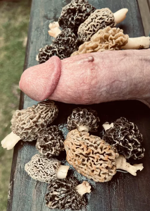 Mushroom season