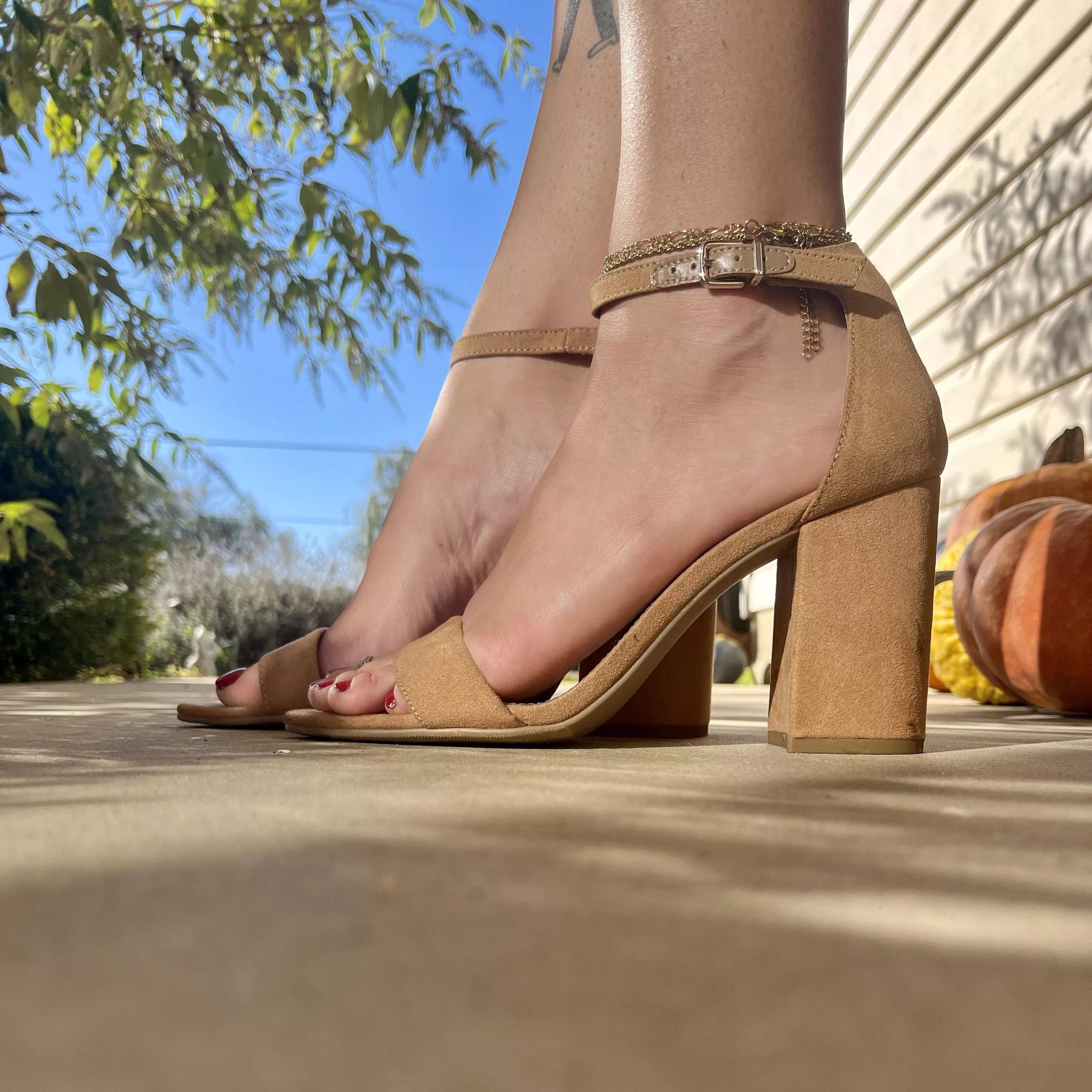 Off to show these babies to the world