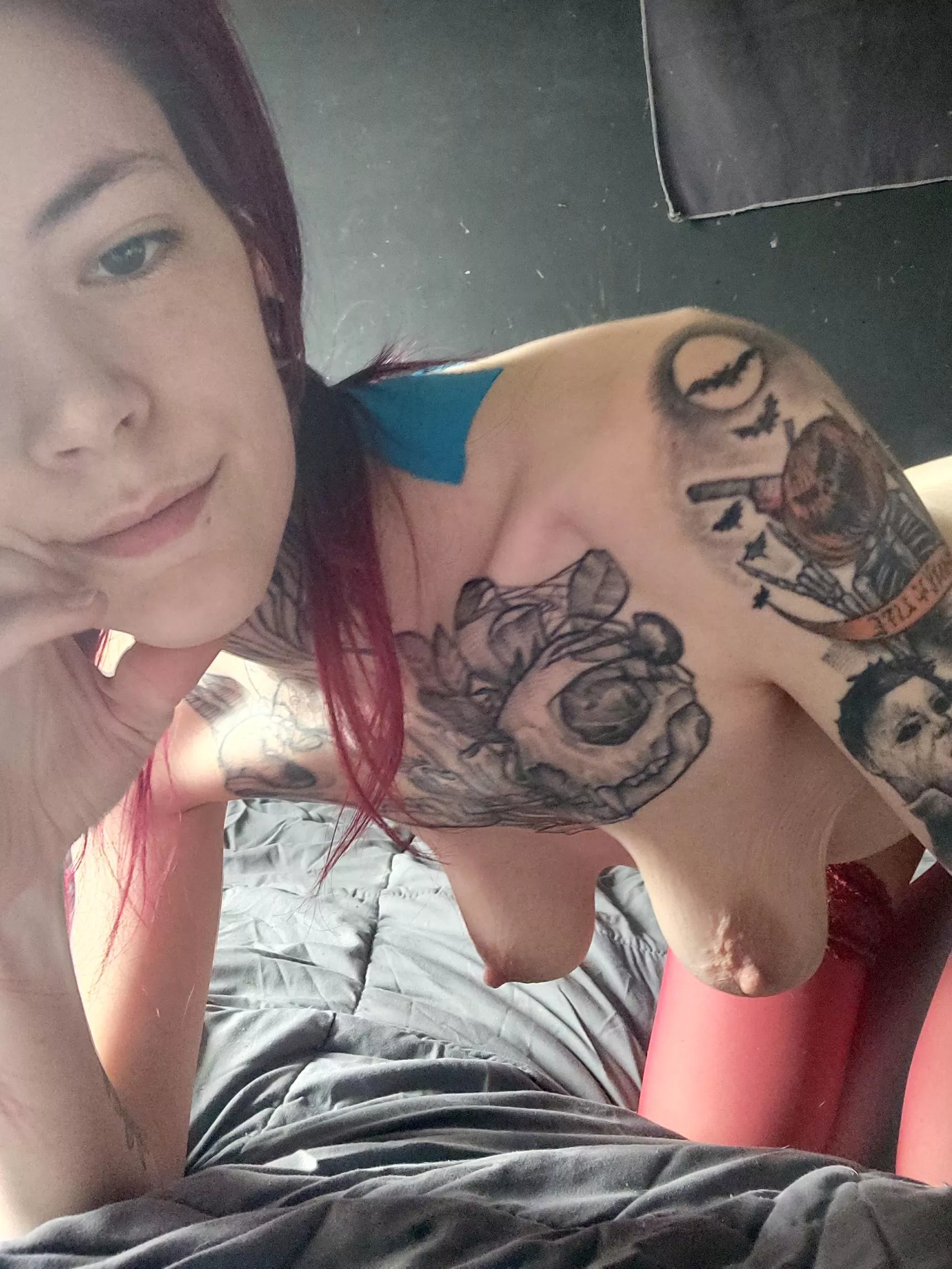 on all fours they look extra stretched