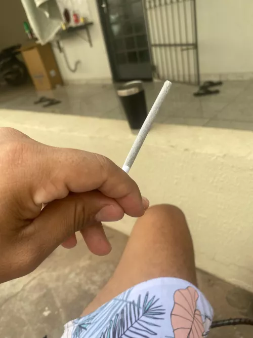 Oque acontece com a maconha na natureza? 