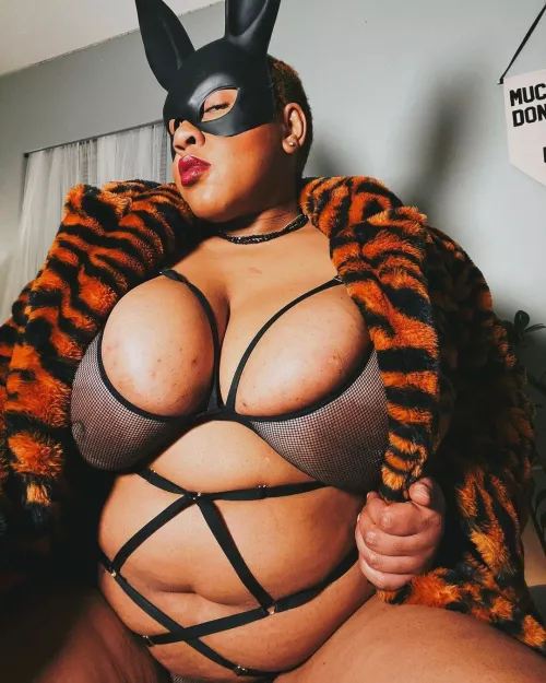 Sometimes you just need to pull a rabbit out your hat...