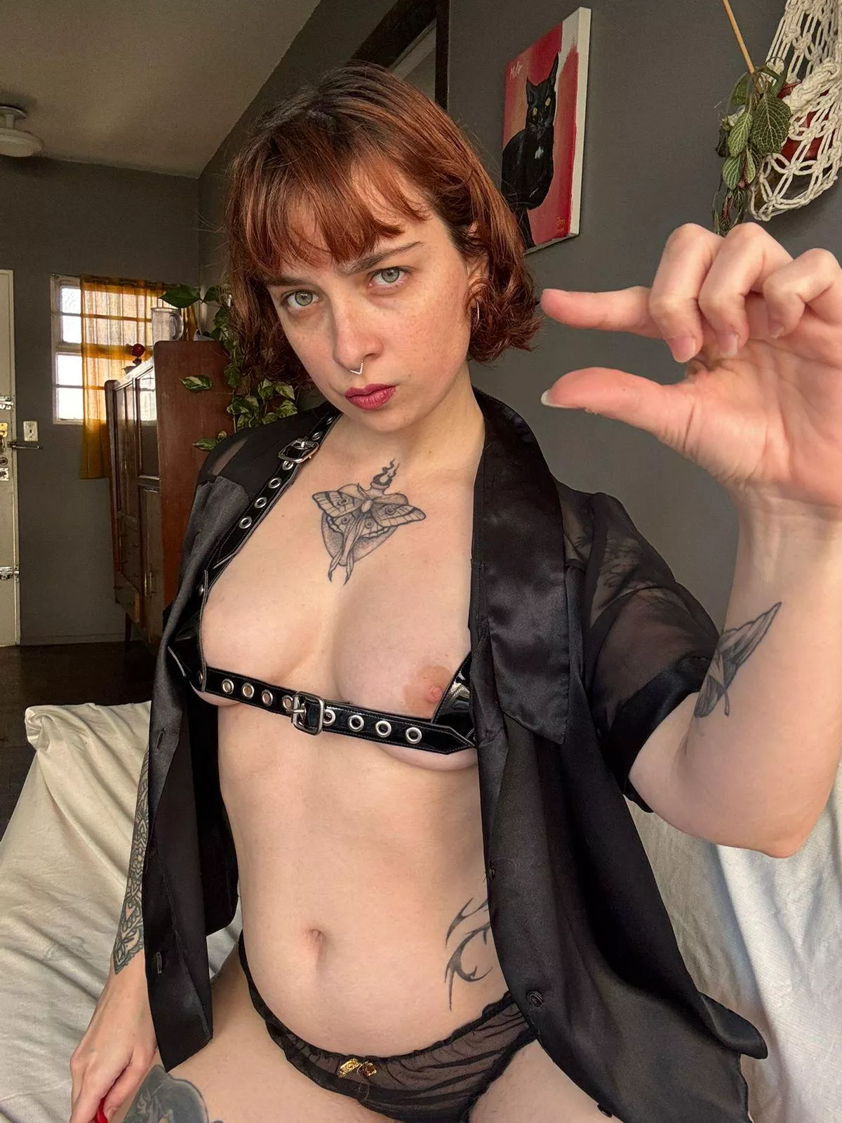 Stand up and let me see that pathetic little thing you call a dick. Is that what passes for a man's cock these days? It's almost laughable