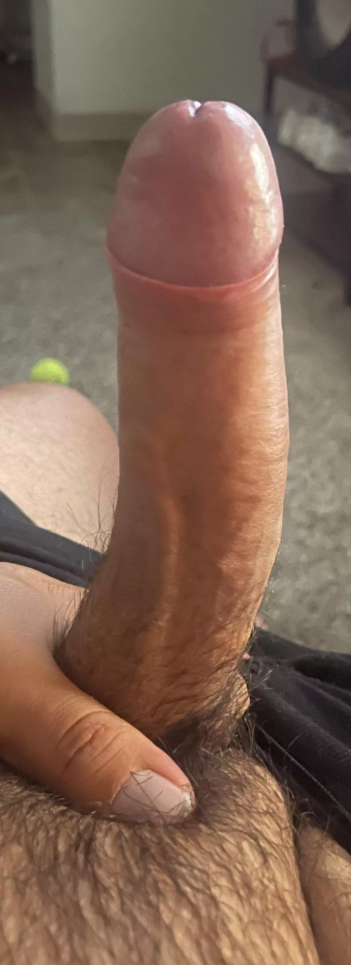 Started onlyfans. Experienced but new to tri cities content 