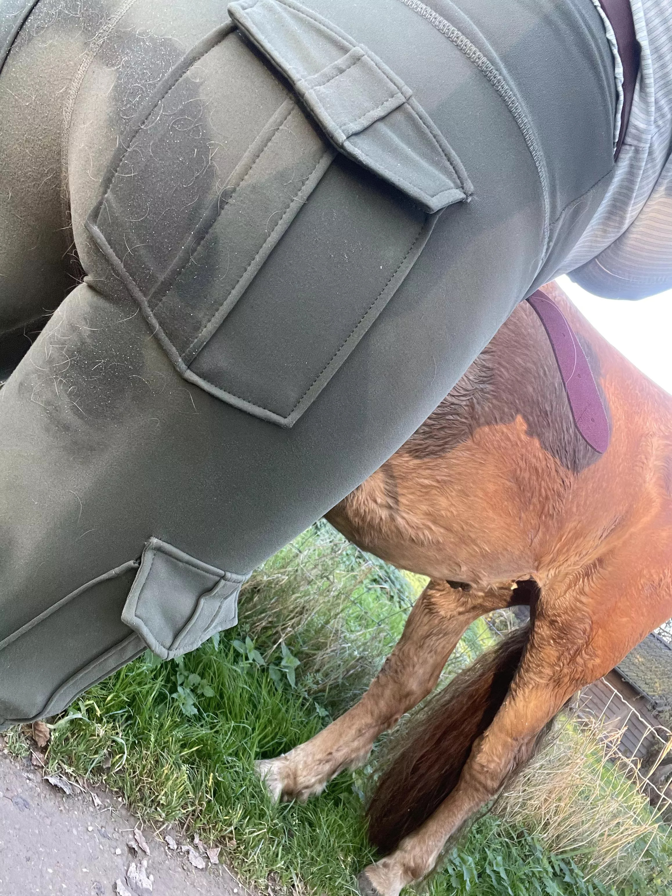 Sweat bum from bareback riding