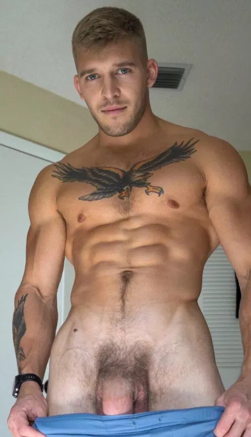 ThickAF Hollitatstud