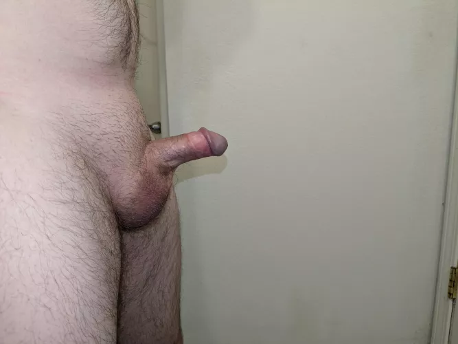 This is a penis y'all should be nervous and self conscious about having. You all are doing just fine. A lot of you are even big. Get outta your heads and get someone on yours. Alright I'm out. 