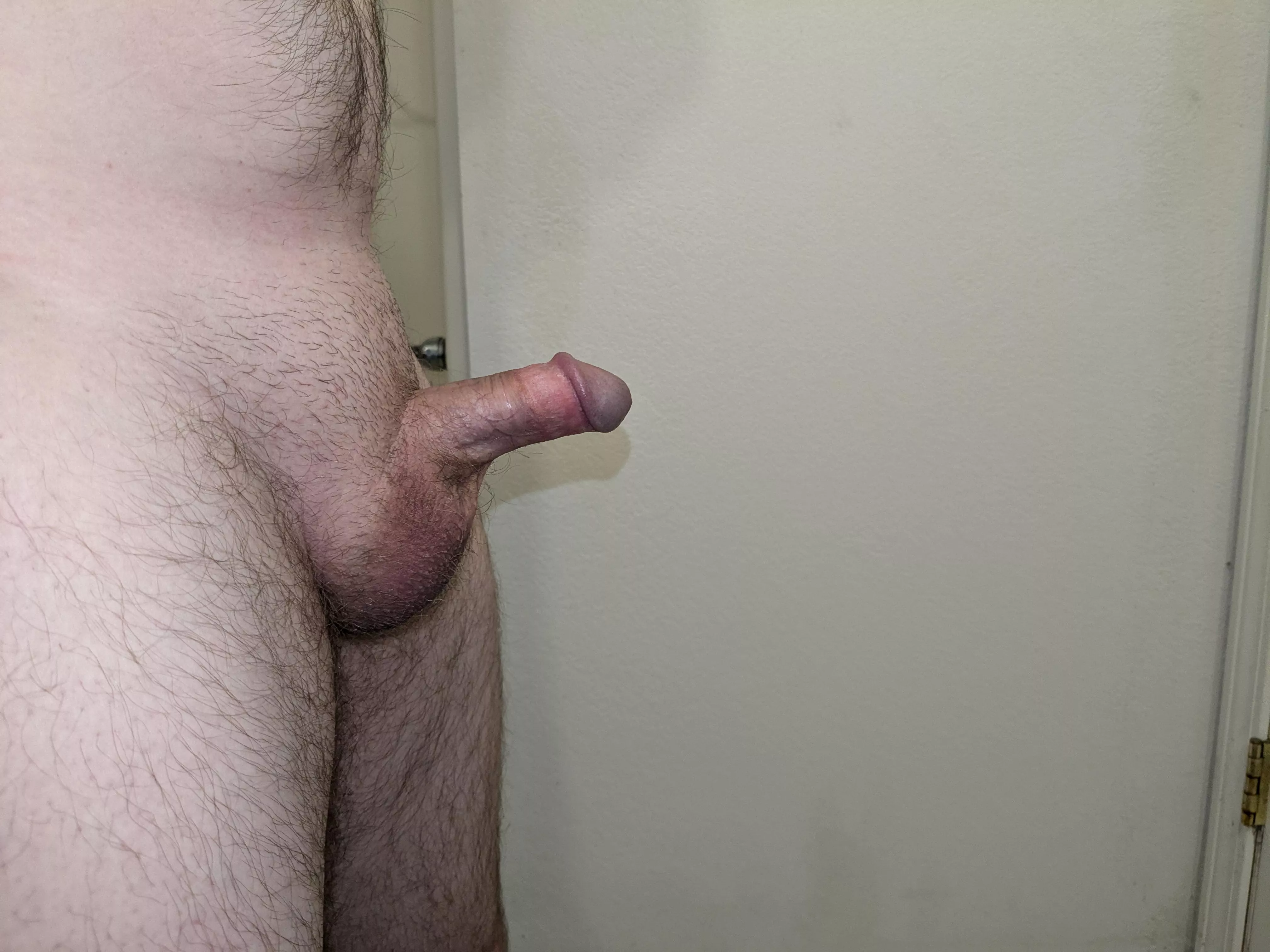 This is a penis y'all should be nervous and self conscious about having. You all are doing just fine. A lot of you are even big. Get outta your heads and get someone on yours. Alright I'm out. 