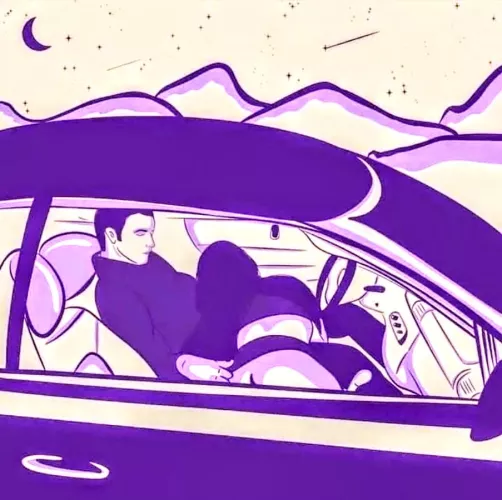 What's your thoughts on car sex???