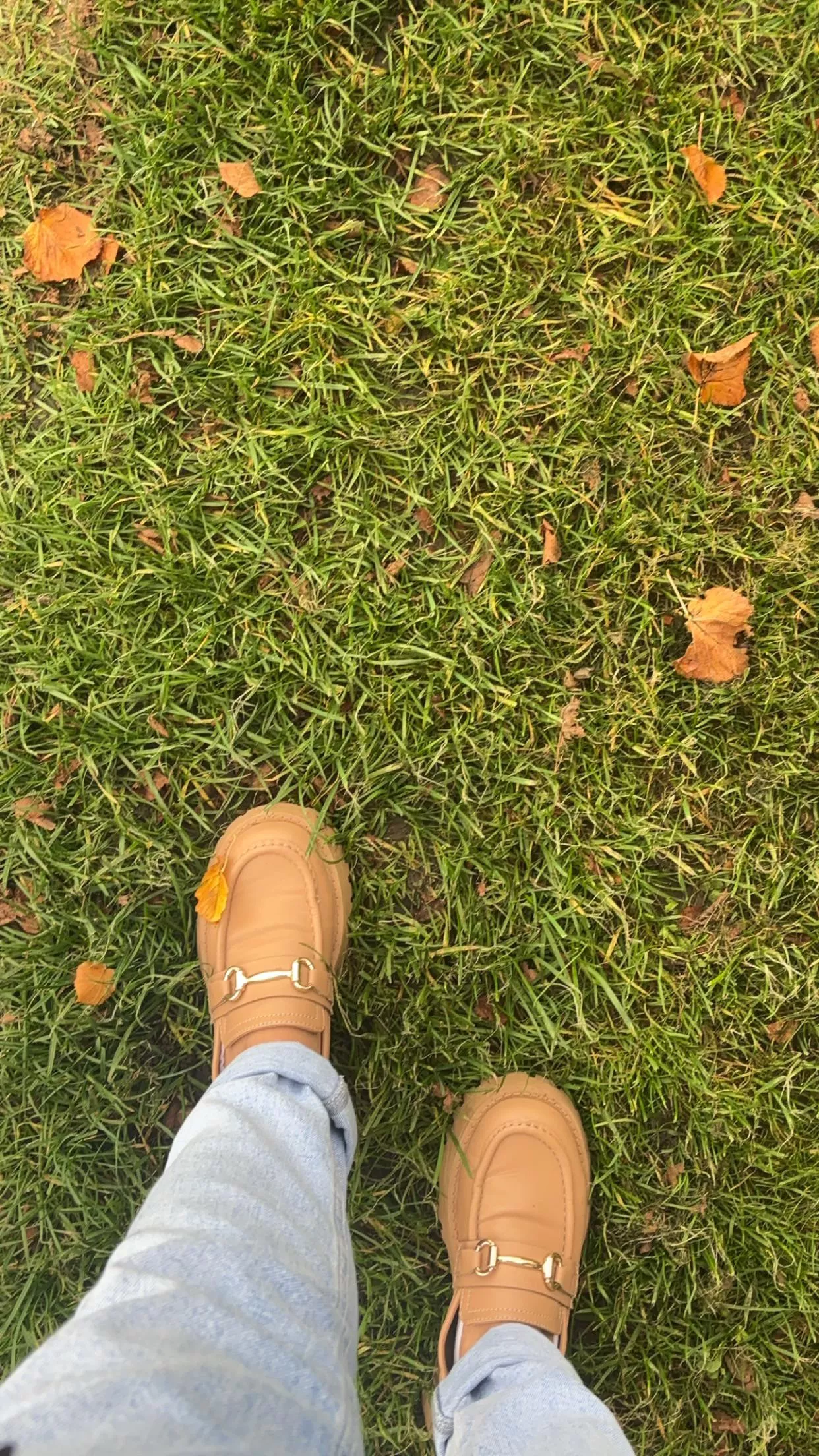 Which one of you cucks are licking my shoes clean?