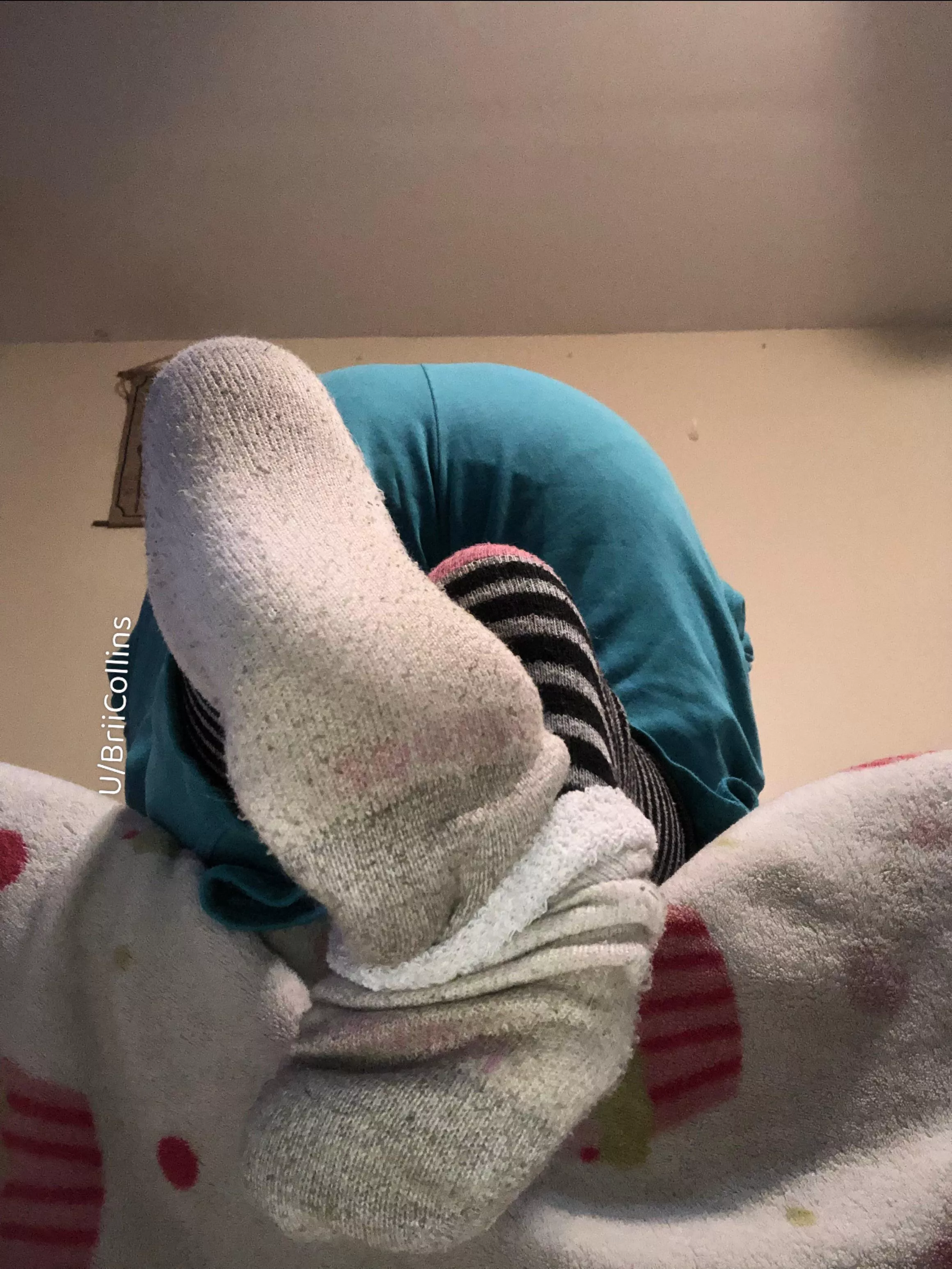 Which one would you rather smell first ? 