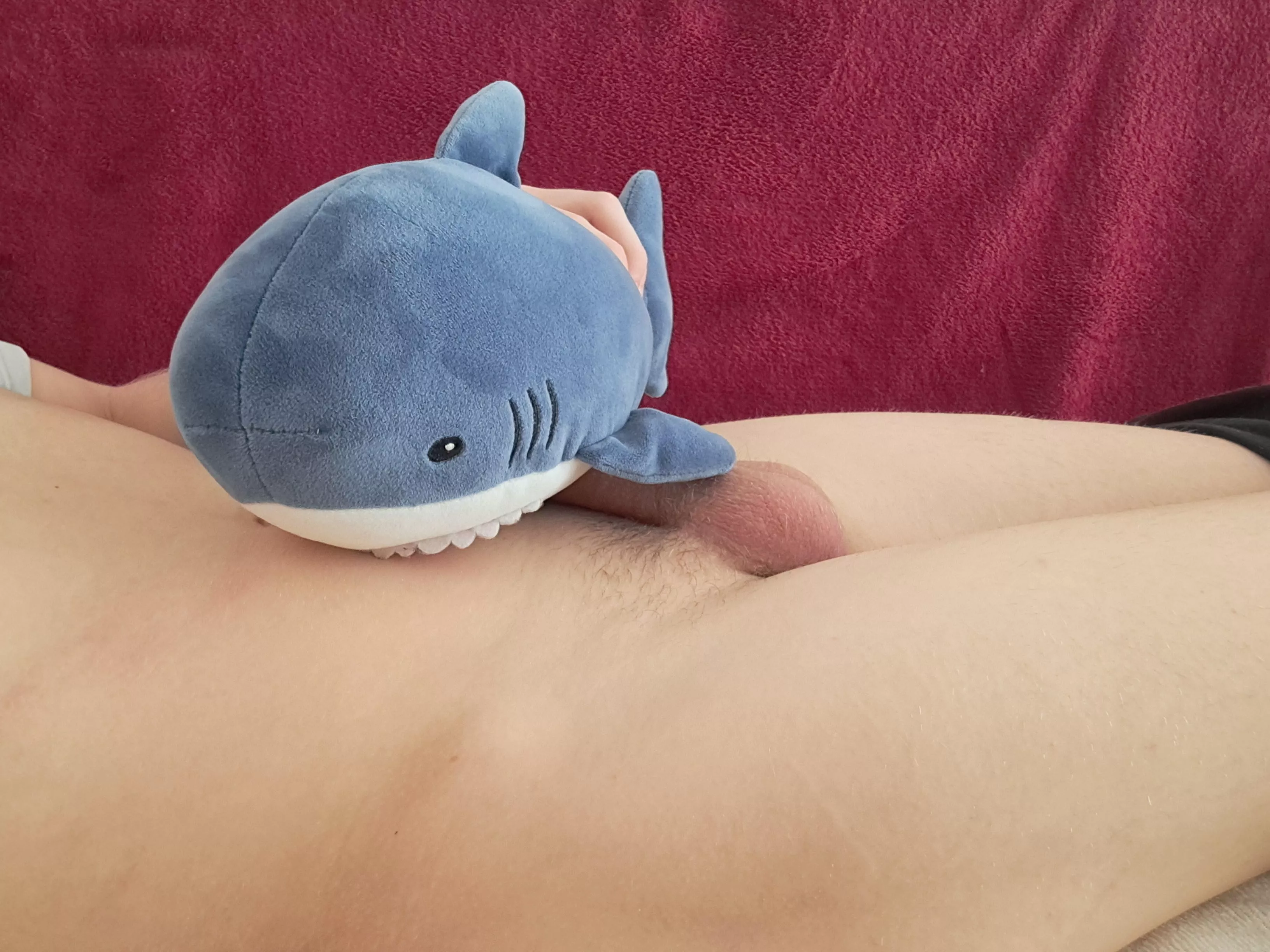 [18] Would you replace the shark with your mouth?
