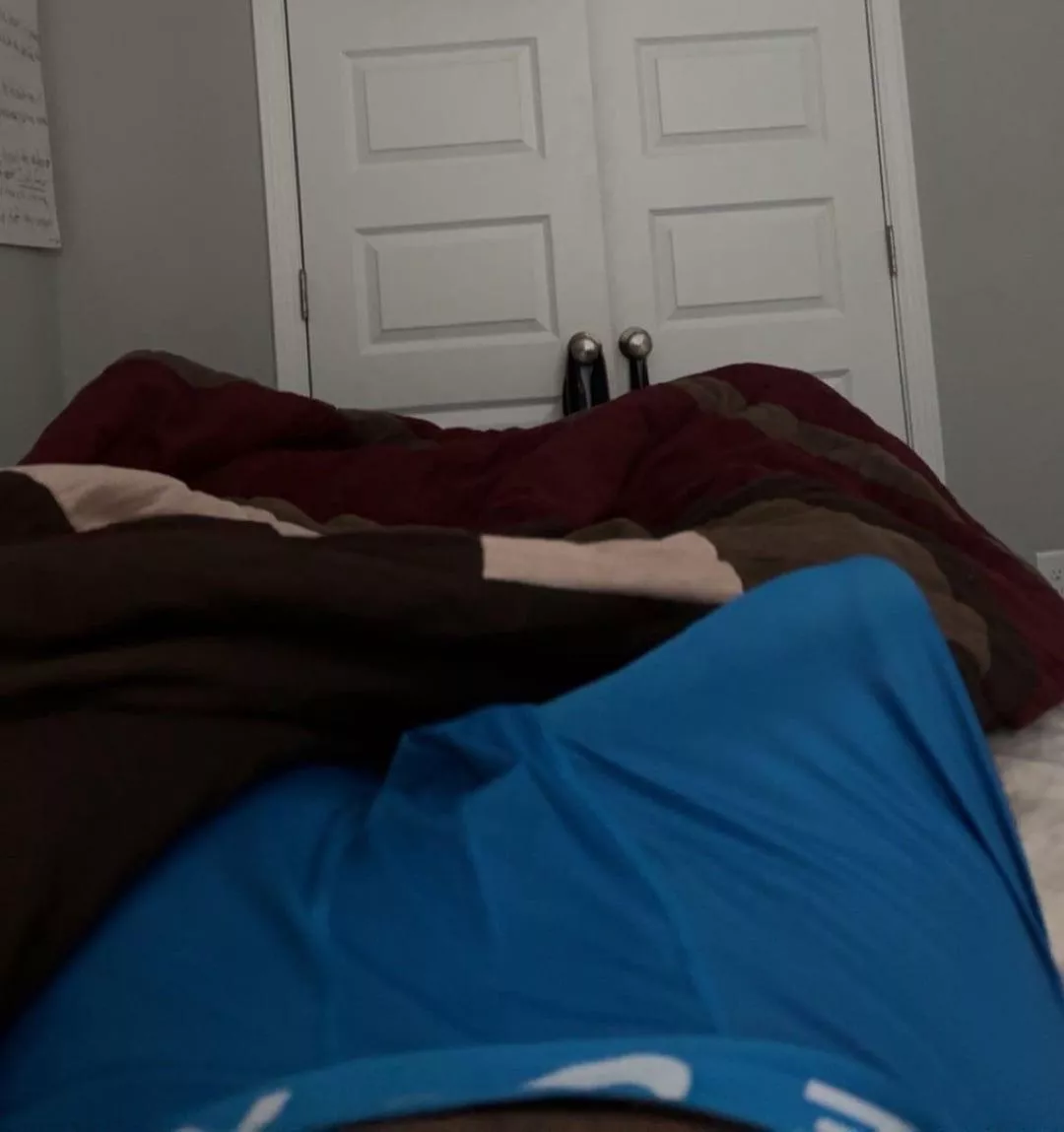 20M NC Bull - Who wants to be used by this young bbc