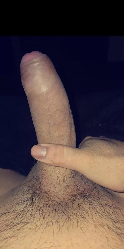 [21] Looking to jo maybe oral car play? Tn hmu near Willowbrook