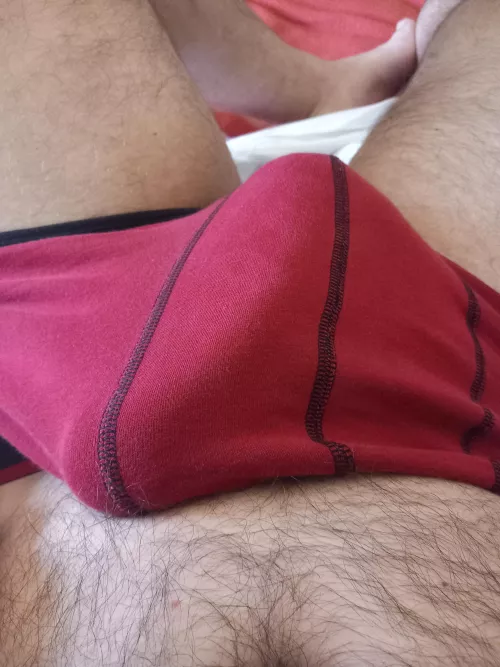 23, my morning bulge, ready to unpack